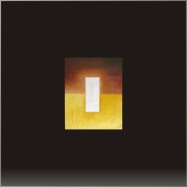 Damien Rohrbach Viadas
'Paso 1, Ser'
T�cnica mixta sobre bastidor