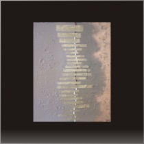 Damien Rohrbach Viadas
'Paso 23, Confianza' 
T�cnica mixta sobre bastidor