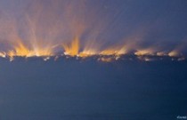 Damien Rohrbach Viadas
'Rade' 
Pintura al �leo